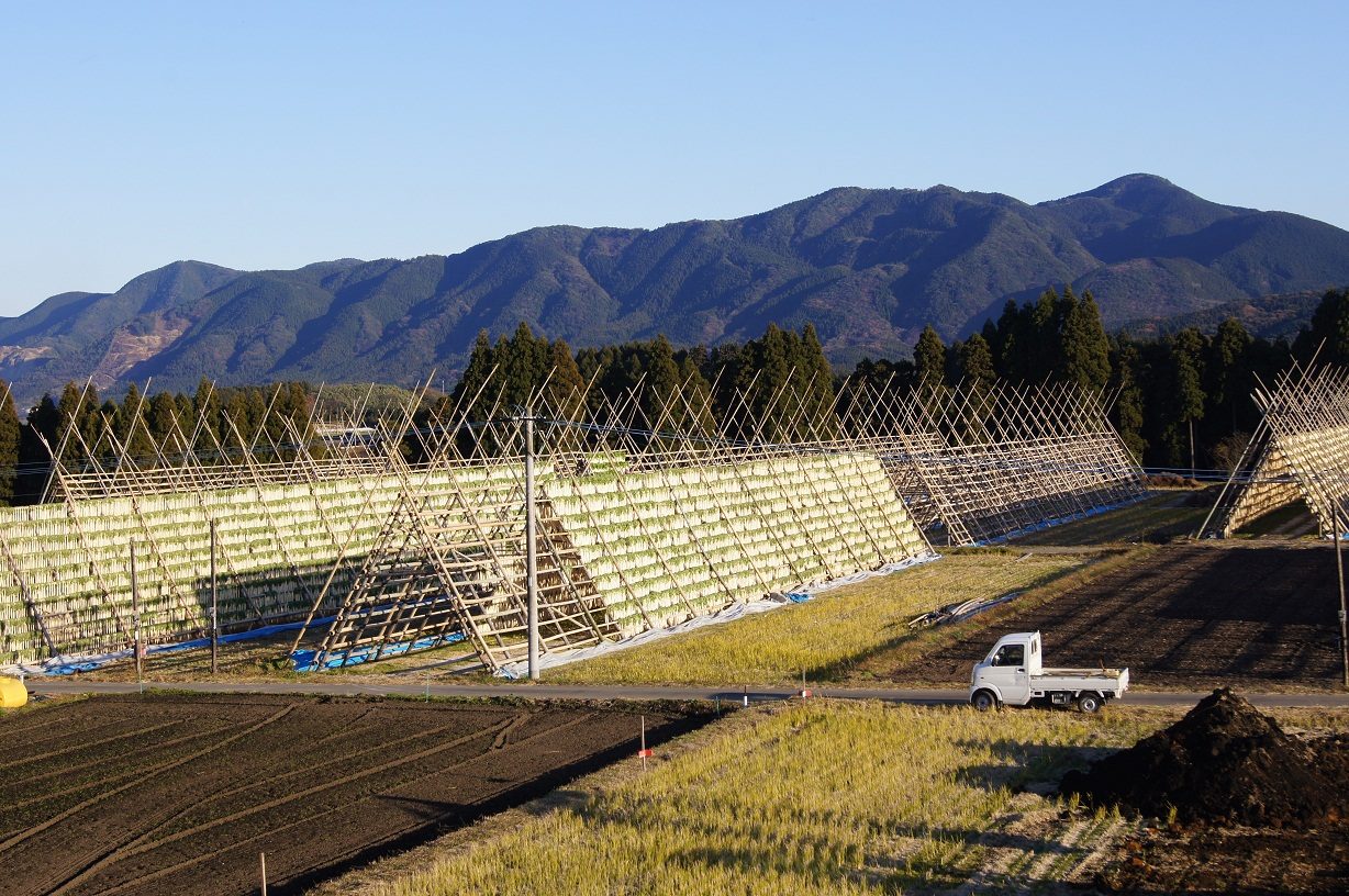 田野の風景